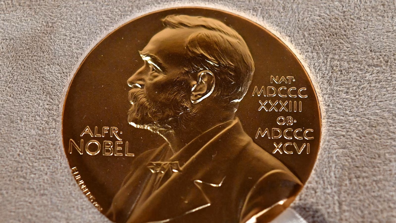 Nobel Peace Prize nominations close with Ukraine and Gaza on agenda