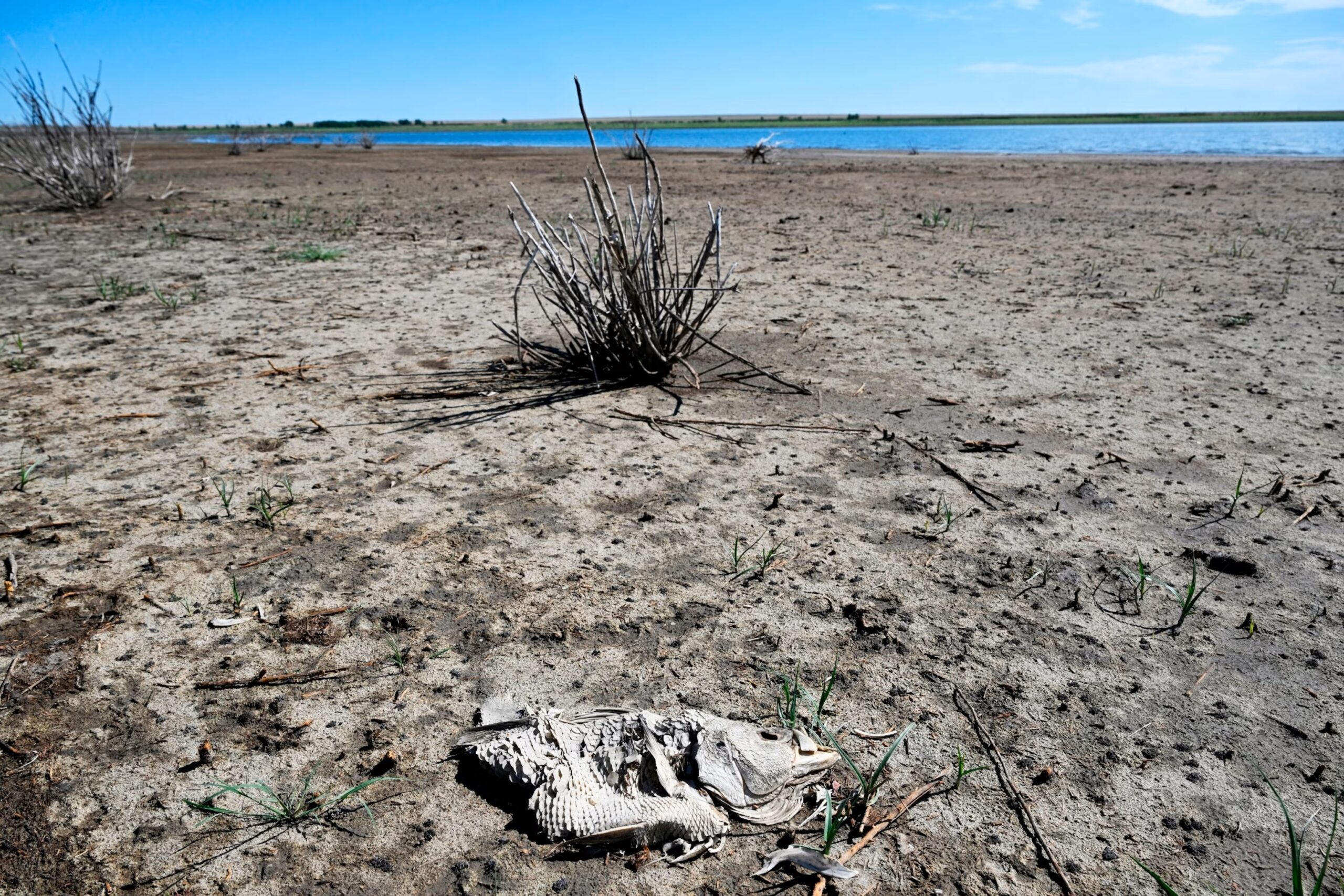 North America experienced an unprecedented ‘hot drought’ in the last century, new research shows