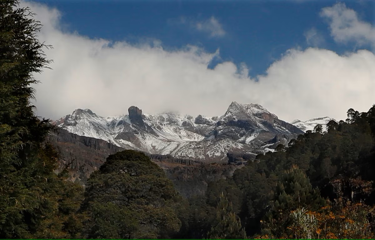 Suspected illegal loggers kill 3 forest rangers on patrol in forest in central Mexico